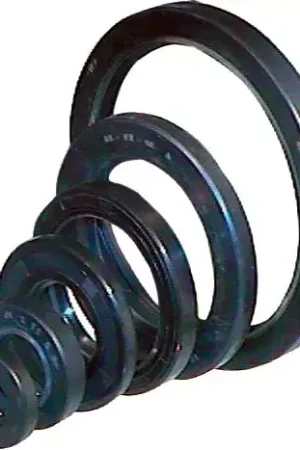 Achat Immédiat Bague double levres 32x48x7