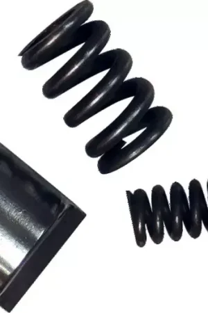 Doigts + ressorts limiteur sc ø 21 mm bondioli Commander Vite