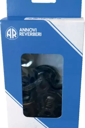 Kit de 4 clapets + joints 659050 ar50 Annovi Certifié