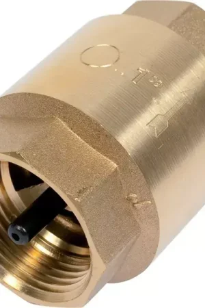 Produit De Marque Clapet anti-retour laiton 1" piusi