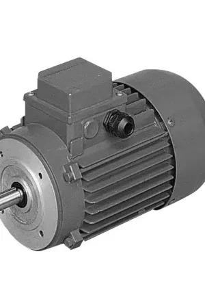 Moteur electrique triphase bn63c4 230/400 v 50hz 1500tr 0,25kw 0,33cv ip55 b14 s3 Authentique