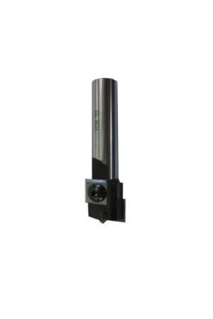 Livraison Express Fraise à Défoncer à Plaquettes - Diamètre 15 mm - Hauteur 20 mm - Queue de 12 mm