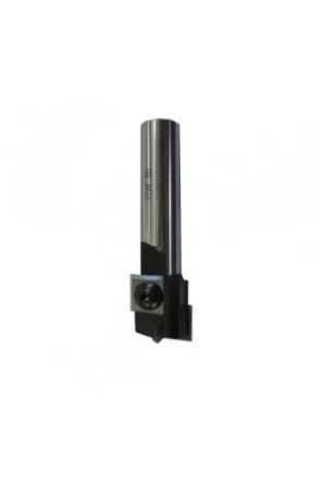 Fraise à Défoncer à Plaquettes - Diamètre 16 mm - Hauteur 20 mm - Queue de 12 mm Jusqu'à Épuisement Des Stocks