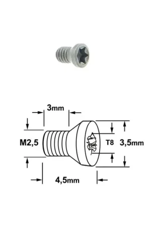 VIS TORX T8 - M2,5 X 3 X 4.5 Expédition Rapide