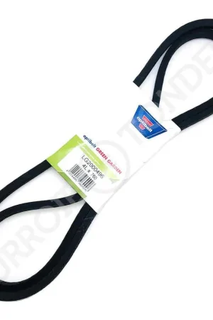 Vente Directe Courroie SIMPLICITY 162081 4L760-HQ