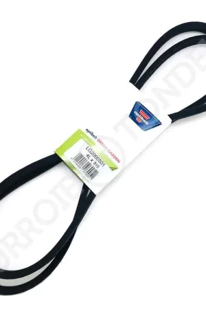 Acheter Direct Courroie AYP/ROPER 123451X 4L810-HQ