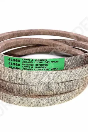 Acheter Direct Courroie MASSEY FERGUSON 3021192M1 4L960