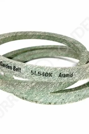 Acheter Direct Courroie SIMPLICITY 1669937 5L540