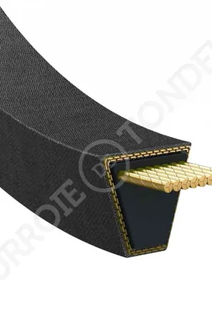 Courroie Mitsuboshi MD079696 MD079696 Petit Prix