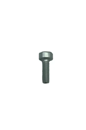 VIS CYLINDRIQUE IS M5 X 16 (9022-341-0980) D‘ORIGINE STIHL Dernier Modèle