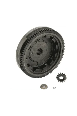 VOLANT MAGNETIQUE POUR MOTEUR SERIE 21B PIECE D‘ORIGINE Briggs & Stratton Remise