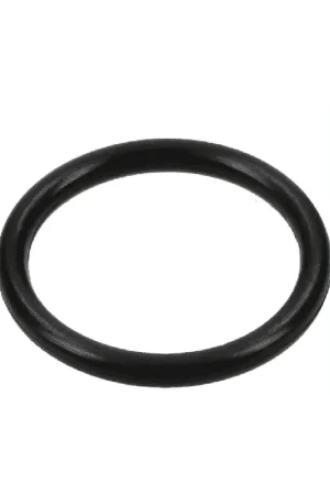 Remise BAGUE - PIECE DETACHEE D‘ORIGINE AL-KO (462893)