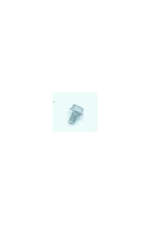 VIS DE VOLUTE DE LANCEUR (094153) PIECE D‘ORIGINE Briggs & Stratton Nouveauté