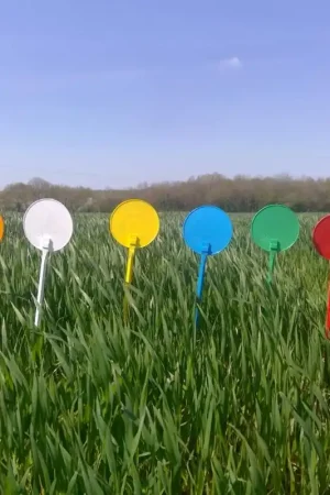 Acheter En Ligne Lot de 150 jalons agricoles jaune blanc orange vert bleu rouge