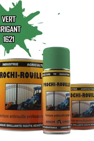 Vente Flash Peinture Vert 1621 BRIGANT antirouille professionnelle