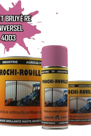 Vente Directe Peinture Violet bruyère RAL 4003 antirouille professionnelle