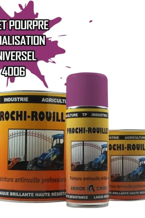 Achetez Aujourd'hui Peinture Violet pourpre signalisation RAL 4006 antirouille professionnelle