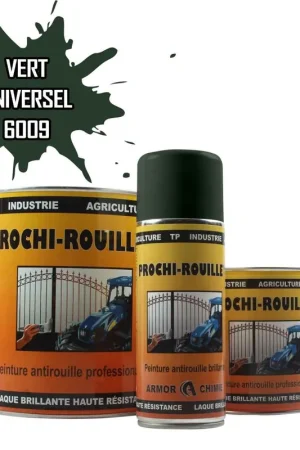 Vente Flash Peinture Vert sapin RAL 6009 antirouille professionnelle