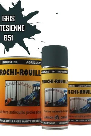 Affaire À Saisir Peinture Gris 651 ARTESIENNE antirouille professionnelle