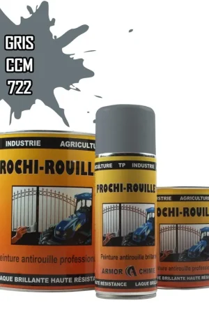 Achat Immédiat Peinture Gris 722 CCM antirouille professionnelle
