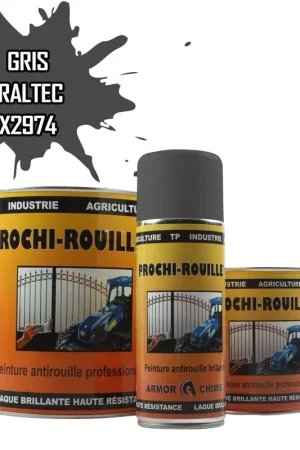 Acheter En Ligne Peinture Gris X2974 ARALTEC antirouille professionnelle