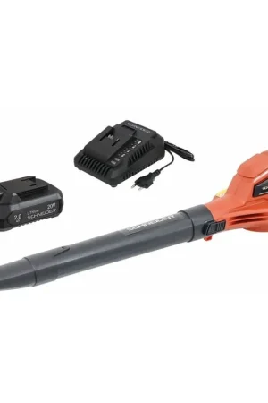 Pack souffleur sans fil 20V avec batterie et chargeur Paiement Sécurisé