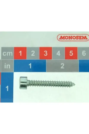 Vis chc 5 5x38 a tôle inox 10591935 MONOSEM origine Solde