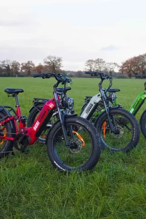 Prix Promo Vélo électrique tout-terrain CR24 AGRICYCLES