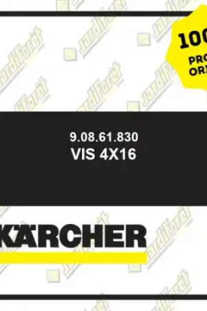 Vis 4x16 Karcher 90861830 Must-Have