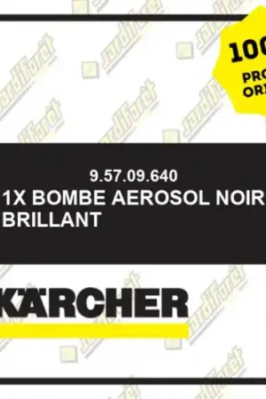 1X BOMBE AEROSOL NOIR BRILLANT Karcher 95709640 Petit Prix