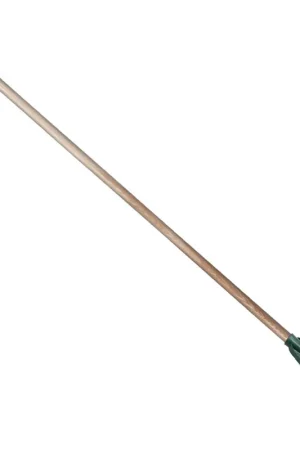 Acheter En Ligne Balais à feuilles (190 mm) emmanché (150 cm)