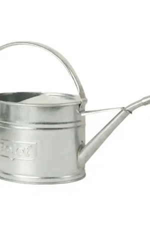 Arrosoir 2l galva.-0,45mm Vente Directe